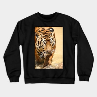 Tiger Emerging Crewneck Sweatshirt